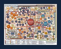 Obamacare Flow Chart
